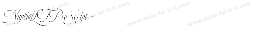 NuptialLTPro Script◆字体转换